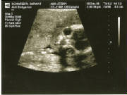 profile2.jpg